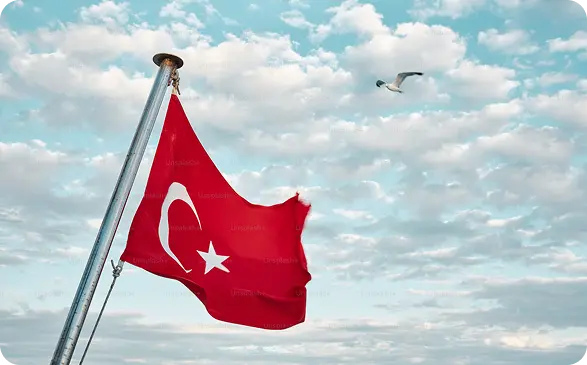 Istanbul airplane ticket illustration